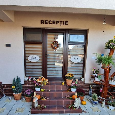 Splendid House Hotel Fagaras Ngoại thất bức ảnh