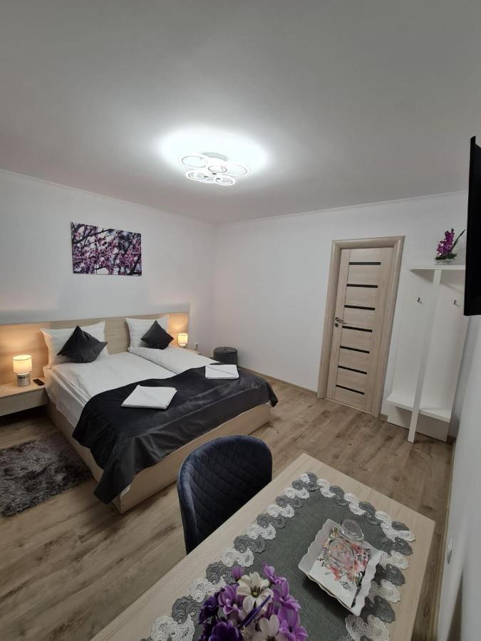 Splendid House Hotel Fagaras Ngoại thất bức ảnh