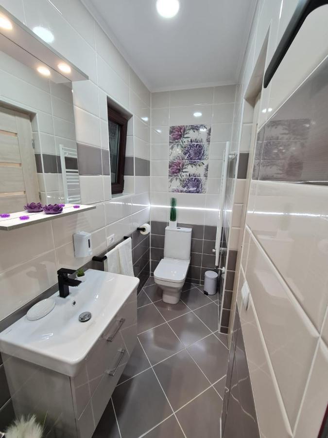 Splendid House Hotel Fagaras Ngoại thất bức ảnh