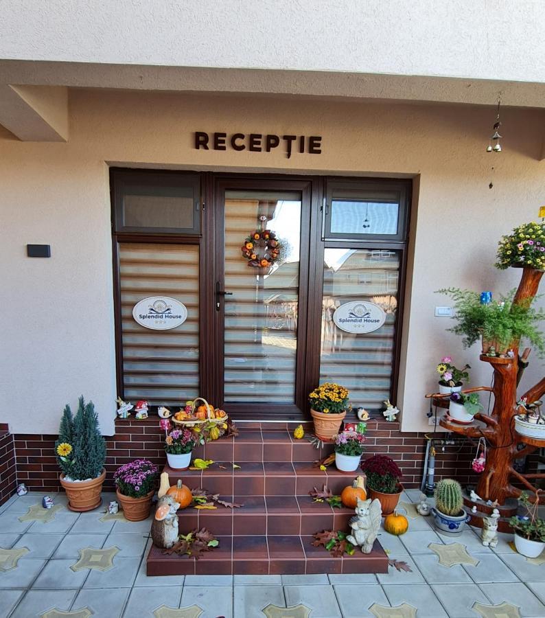 Splendid House Hotel Fagaras Ngoại thất bức ảnh