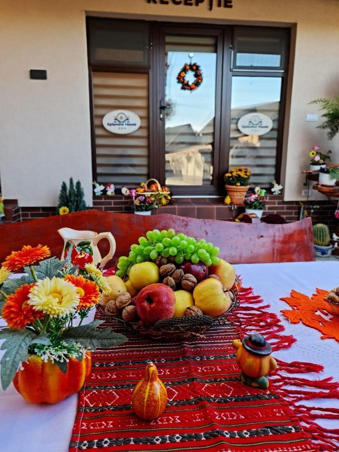 Splendid House Hotel Fagaras Ngoại thất bức ảnh